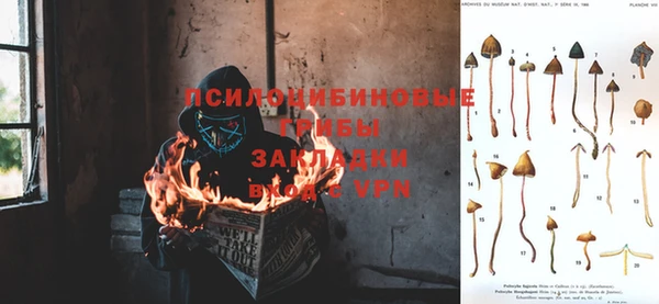 ГАЛЛЮЦИНОГЕННЫЕ ГРИБЫ Алексеевка