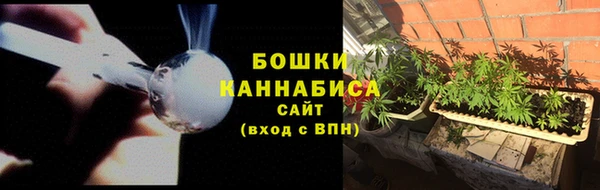 ГАЛЛЮЦИНОГЕННЫЕ ГРИБЫ Алексеевка