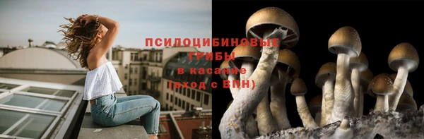 MESCALINE Алзамай