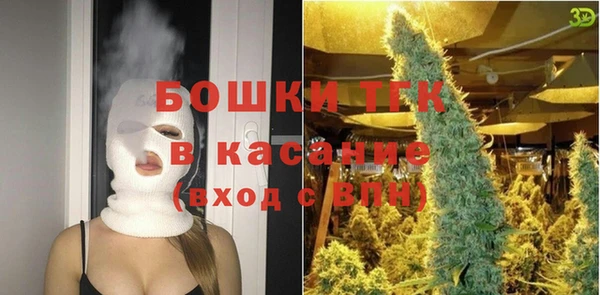 шишки Алексин