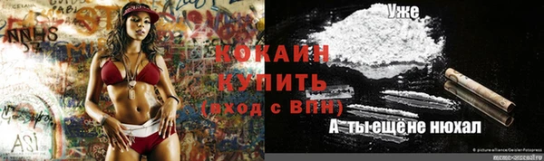 шишки Алексин
