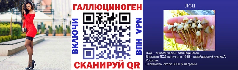 Галлюциногенные грибы Psilocybine cubensis  Петропавловск-Камчатский 